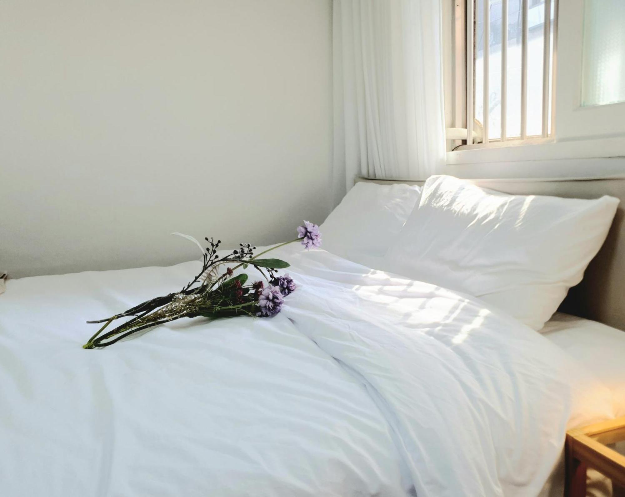 Guest house Mh House